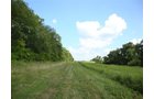 Property photo 1 - AUCTION CANCELLED TONIGHT!! SOLD Prior to Auction! 84+/- Acres Offered in 4 Tracts